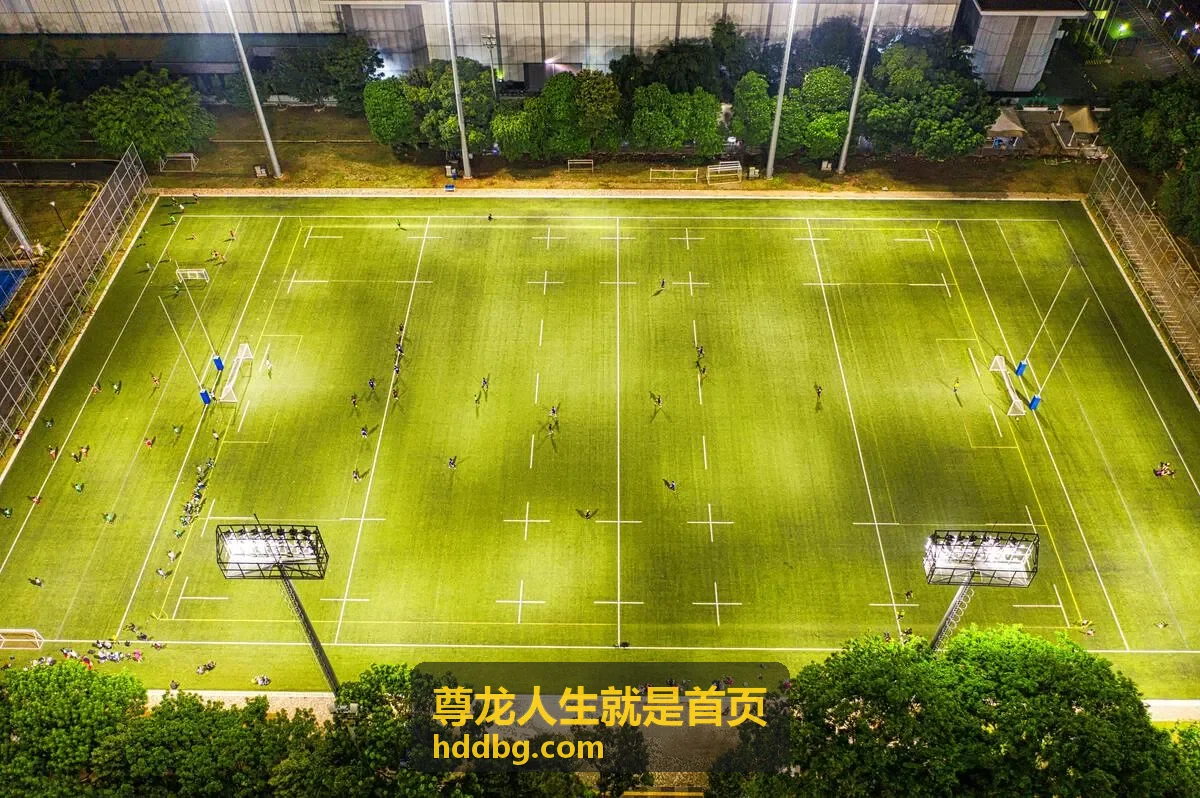 尊龙人生就是首页案例配图：技术服务团队长期维护与迭代